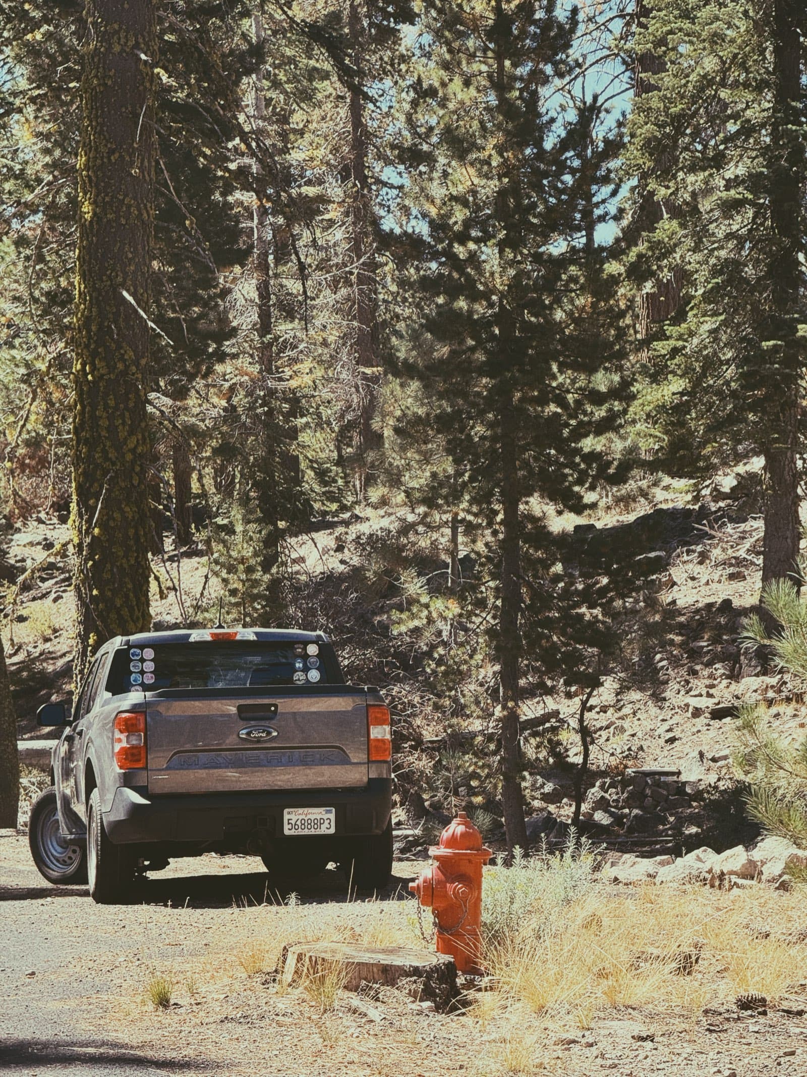 Ford truck parked near pine forest and a fire hydrant