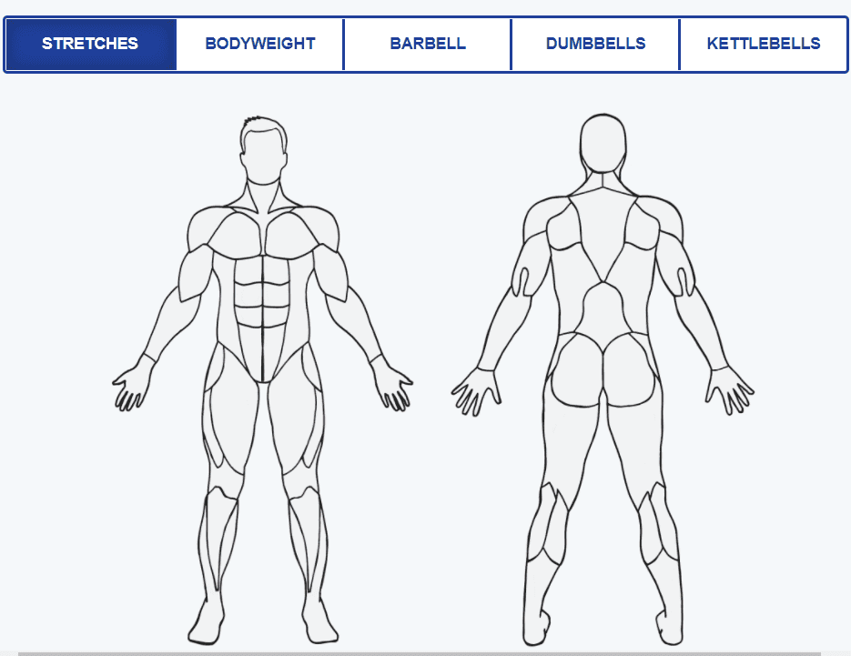 Interactive Muscle Map Interface